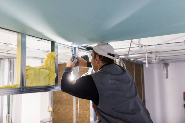 Best Home Insulation Services  in Normandy, MO