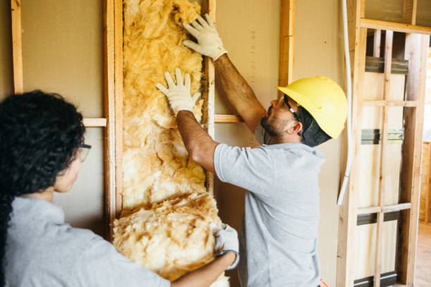 Best Commercial Insulation Contractor  in Normandy, MO