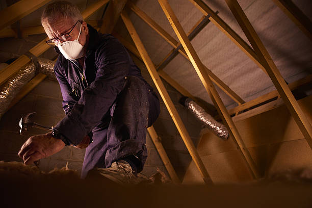 Best Insulation Replacement Services  in Normandy, MO